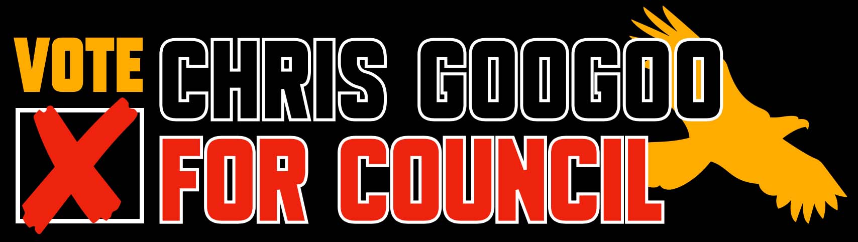 Re-Elect Chris Googoo!